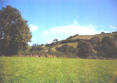 hill near Bridport