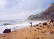 Jurassic coast - eype