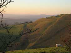 Eggardon hill fort