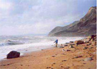 Jurassic coast area