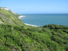 Jurassic coast Near Ringstead