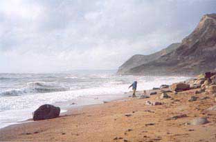 Eype Beach