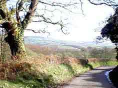 Above Nettlecombe and Powerstock