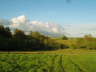 fields near B&B