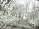 lane near South Poorton