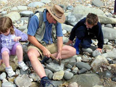 fossils at Charmouth
