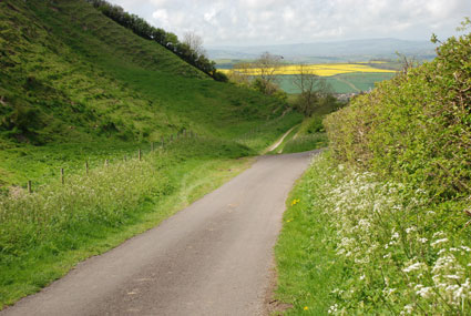 Lane down to Powerstock