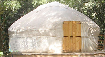 yurt in west dorset